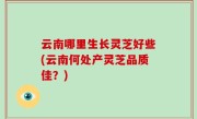 云南哪里生长灵芝好些(云南何处产灵芝品质佳？)