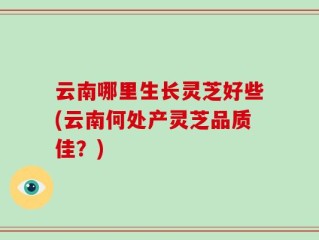 云南哪里生长灵芝好些(云南何处产灵芝品质佳？)