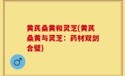 黄芪桑黄和灵芝(黄芪桑黄与灵芝：药材双剑合璧)