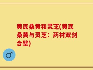 黄芪桑黄和灵芝(黄芪桑黄与灵芝：药材双剑合璧)
