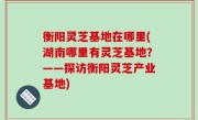 衡阳灵芝基地在哪里(湖南哪里有灵芝基地？——探访衡阳灵芝产业基地)