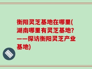 衡阳灵芝基地在哪里(湖南哪里有灵芝基地？——探访衡阳灵芝产业基地)