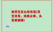 用灵芝怎么样洗发(灵芝洗发，祛屑止痒，头发更健康)