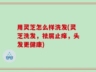 用灵芝怎么样洗发(灵芝洗发，祛屑止痒，头发更健康)