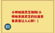 小师妹摘灵芝视频(小师妹采摘灵芝的壮丽景象真是让人心醉！)
