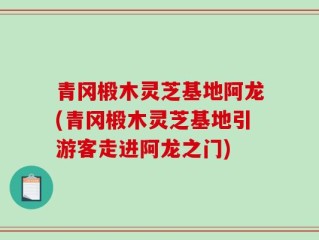 青冈椴木灵芝基地阿龙(青冈椴木灵芝基地引游客走进阿龙之门)