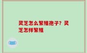 灵芝怎么繁殖孢子？灵芝怎样繁殖
