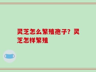 灵芝怎么繁殖孢子？灵芝怎样繁殖