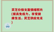 灵芝价格文案情绪照片(提高免疫力，享受健康生活，灵芝供应充足)