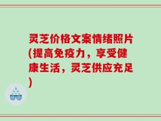 灵芝价格文案情绪照片(提高免疫力，享受健康生活，灵芝供应充足)