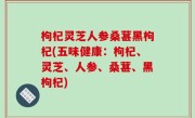 枸杞灵芝人参桑葚黑枸杞(五味健康：枸杞、灵芝、人参、桑葚、黑枸杞)