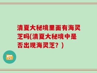 清夏大秘境里面有海灵芝吗(清夏大秘境中是否出现海灵芝？)