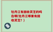 牡丹江有回收灵芝的吗在哪(牡丹江哪里有回收灵芝？)