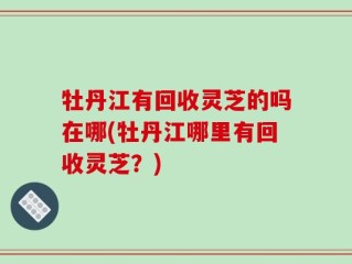 牡丹江有回收灵芝的吗在哪(牡丹江哪里有回收灵芝？)