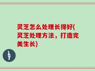 灵芝怎么处理长得好(灵芝处理方法，打造完美生长)