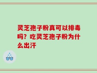 灵芝孢子粉真可以排毒吗？吃灵芝孢子粉为什么出汗