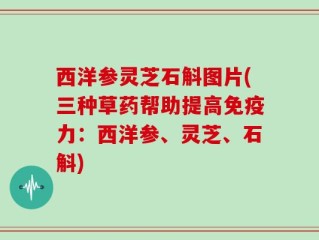 西洋参灵芝石斛图片(三种草药帮助提高免疫力：西洋参、灵芝、石斛)