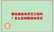 蘑菇里面有灵芝三萜吗？怎么区别蘑菇和灵芝