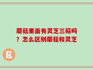 蘑菇里面有灵芝三萜吗？怎么区别蘑菇和灵芝