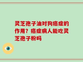 灵芝孢子油对狗癌症的作用？癌症病人能吃灵芝孢子粉吗