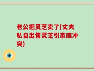 老公把灵芝卖了(丈夫私自出售灵芝引家庭冲突)