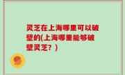 灵芝在上海哪里可以破壁的(上海哪里能够破壁灵芝？)