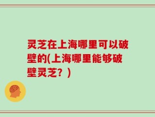 灵芝在上海哪里可以破壁的(上海哪里能够破壁灵芝？)