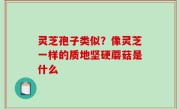 灵芝孢子类似？像灵芝一样的质地坚硬蘑菇是什么