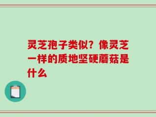 灵芝孢子类似？像灵芝一样的质地坚硬蘑菇是什么
