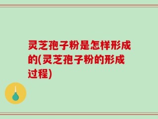 灵芝孢子粉是怎样形成的(灵芝孢子粉的形成过程)