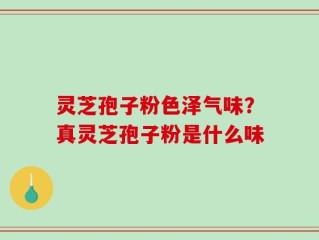 灵芝孢子粉色泽气味？真灵芝孢子粉是什么味