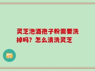灵芝泡酒孢子粉需要洗掉吗？怎么清洗灵芝