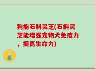 狗能石斛灵芝(石斛灵芝能增强宠物犬免疫力，提高生命力)