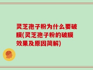 灵芝孢子粉为什么要破膜(灵芝孢子粉的破膜效果及原因简解)