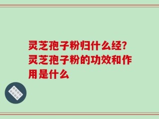 灵芝孢子粉归什么经？灵芝孢子粉的功效和作用是什么