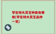 罕见特大灵芝种类有哪些(罕见特大灵芝品种一览)