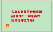 东高农业灵芝种植直播间(直播：一窥东高农业灵芝种植之路)