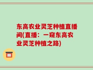 东高农业灵芝种植直播间(直播：一窥东高农业灵芝种植之路)
