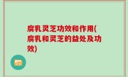 腐乳灵芝功效和作用(腐乳和灵芝的益处及功效)