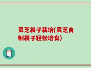 灵芝袋子栽培(灵芝自制袋子轻松培育)