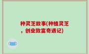 种灵芝故事(种植灵芝，创业致富奇遇记)