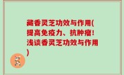 藏香灵芝功效与作用(提高免疫力、抗肿瘤！浅谈香灵芝功效与作用)