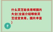 什么灵芝能食用呢图片大全(全面介绍哪些灵芝适宜食用，图片丰富)