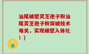 汕尾破壁灵芝孢子粉汕尾灵芝孢子粉突破技术难关，实现破壁入体化！)