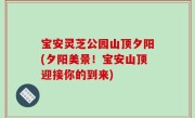 宝安灵芝公园山顶夕阳(夕阳美景！宝安山顶迎接你的到来)