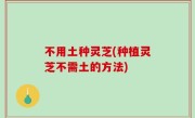 不用土种灵芝(种植灵芝不需土的方法)