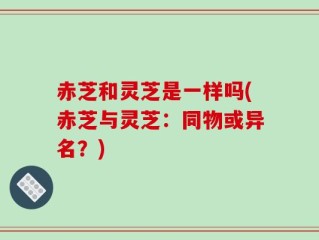 赤芝和灵芝是一样吗(赤芝与灵芝：同物或异名？)