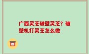 广西灵芝破壁灵芝？破壁机打灵芝怎么做