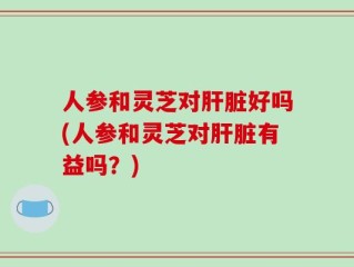 人参和灵芝对肝脏好吗(人参和灵芝对肝脏有益吗？)