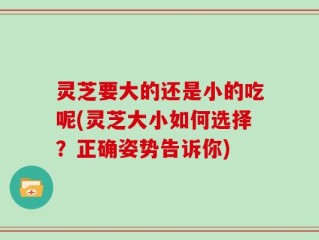 灵芝要大的还是小的吃呢(灵芝大小如何选择？正确姿势告诉你)